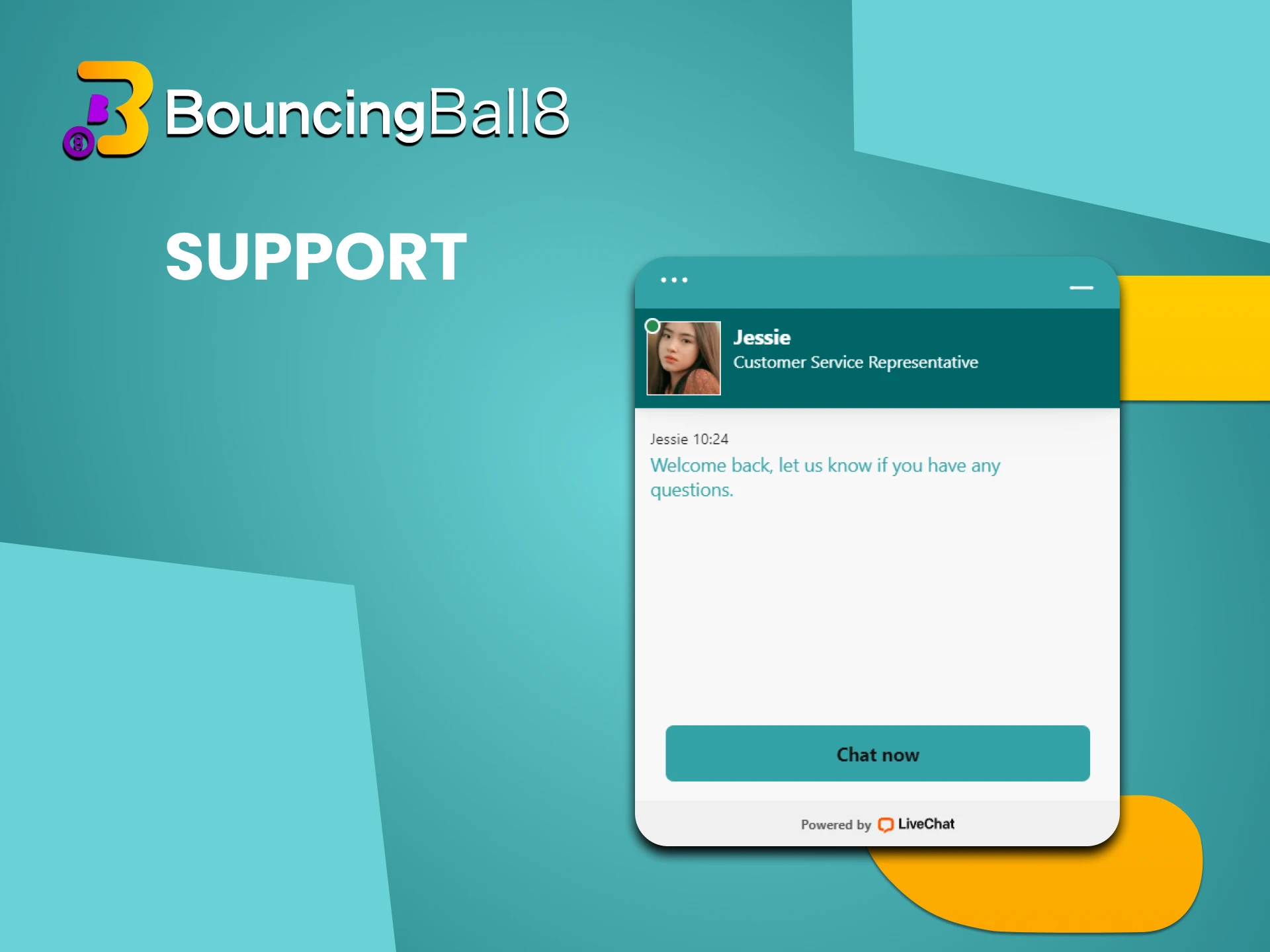 You can always contact the Bouncingball8 support team.