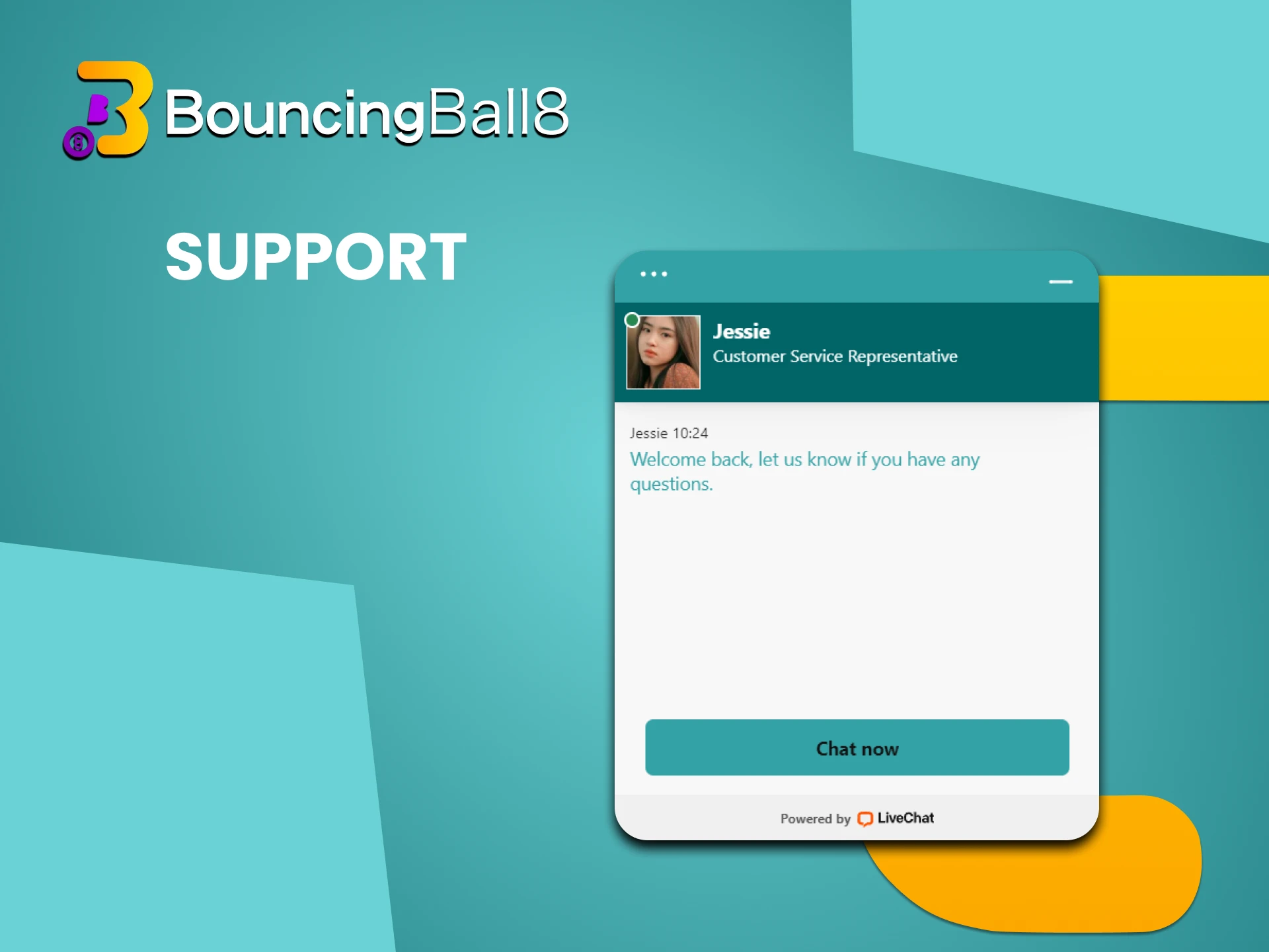 Use the Bouncingball8 site to contact support.